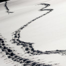 path-in-snow-medium_3110911974